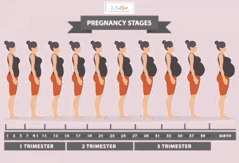 First Trimester (Weeks 1–12): Early Changes You Might Not Notice Norbiton